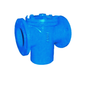 Basket Type Strainer